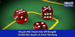 khuyến mãi thành viên vip
