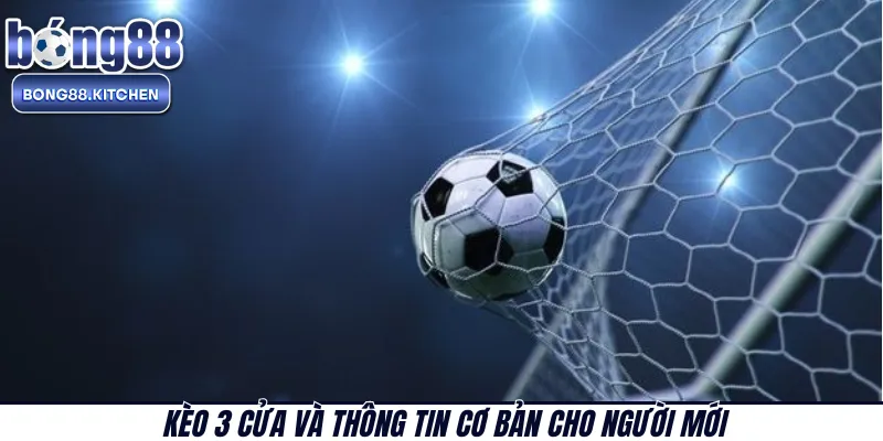 Kèo 3 cửa và thông tin cơ bản cho người mới 
