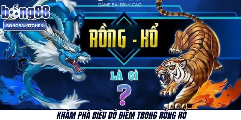 Khám phá biểu đồ điểm trong Rồng Hổ 