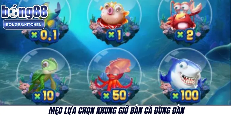 Mẹo lựa chọn khung giờ bắn cá đúng đắn 