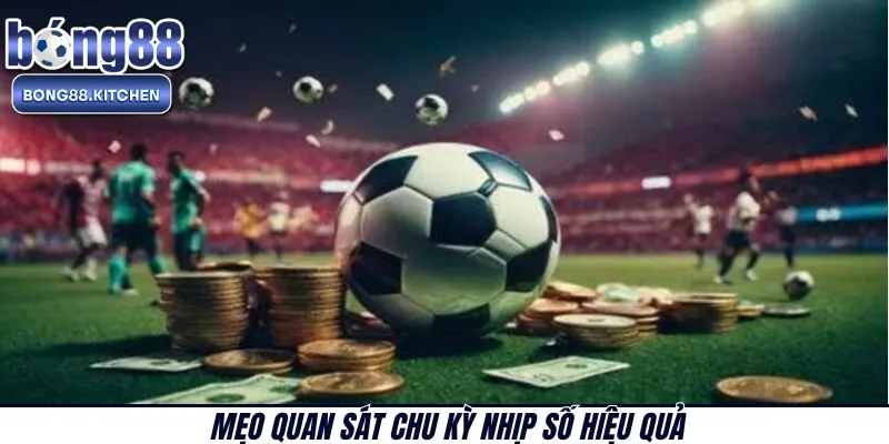 Mẹo quan sát chu kỳ nhịp số hiệu quả 