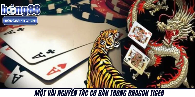 Một vài nguyên tắc cơ bản trong Dragon Tiger