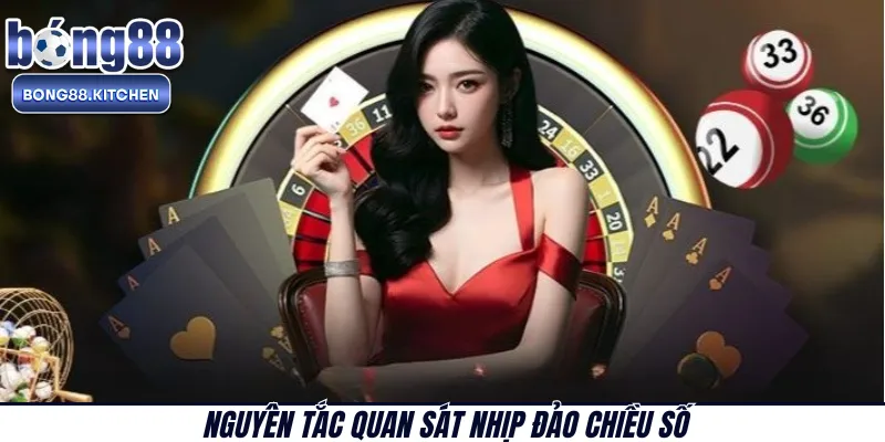 Nguyên tắc quan sát nhịp đảo chiều số 