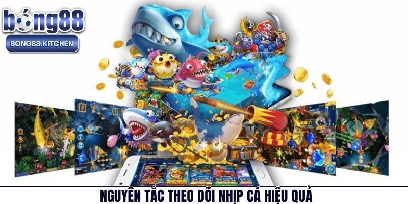 Nguyên tắc theo dõi nhịp cá hiệu quả 