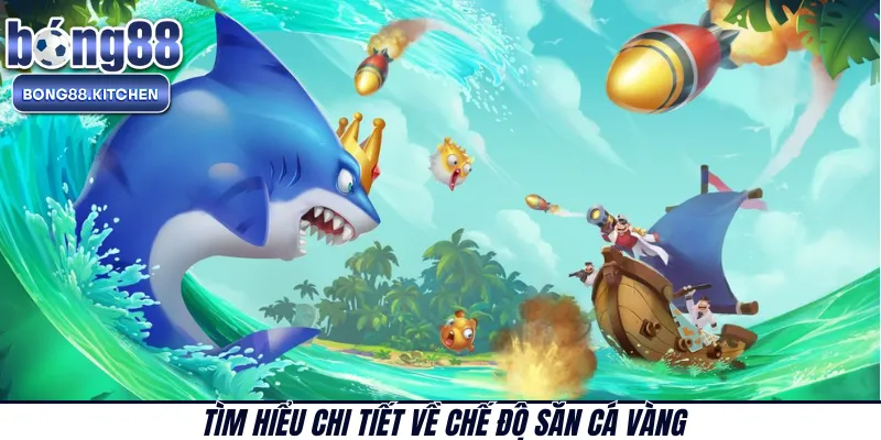 Tìm hiểu chi tiết về chế độ săn cá vàng 