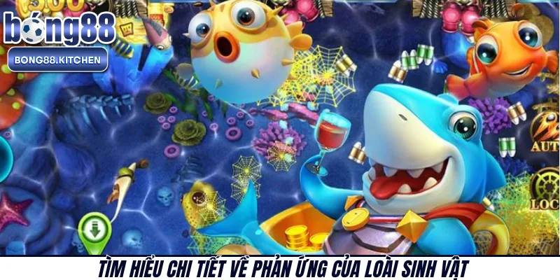 Tìm hiểu chi tiết về phản ứng của loài sinh vật 