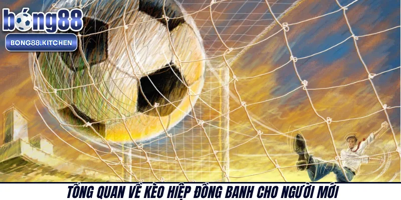 Tổng quan về kèo hiệp đồng banh cho người mới 