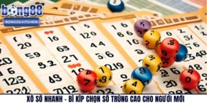Xổ Số Nhanh – Bí Kíp Chọn Số Trúng Cao Cho Người Mới