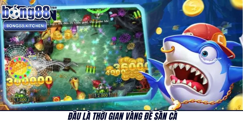 Đâu là thời gian vàng để săn cá 