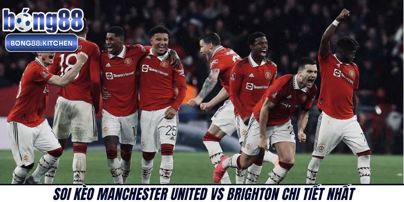 Soi kèo Manchester United vs Brighton chi tiết nhất 